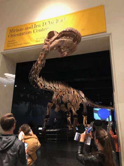 STEP-AMNH-8-Huge-Dino