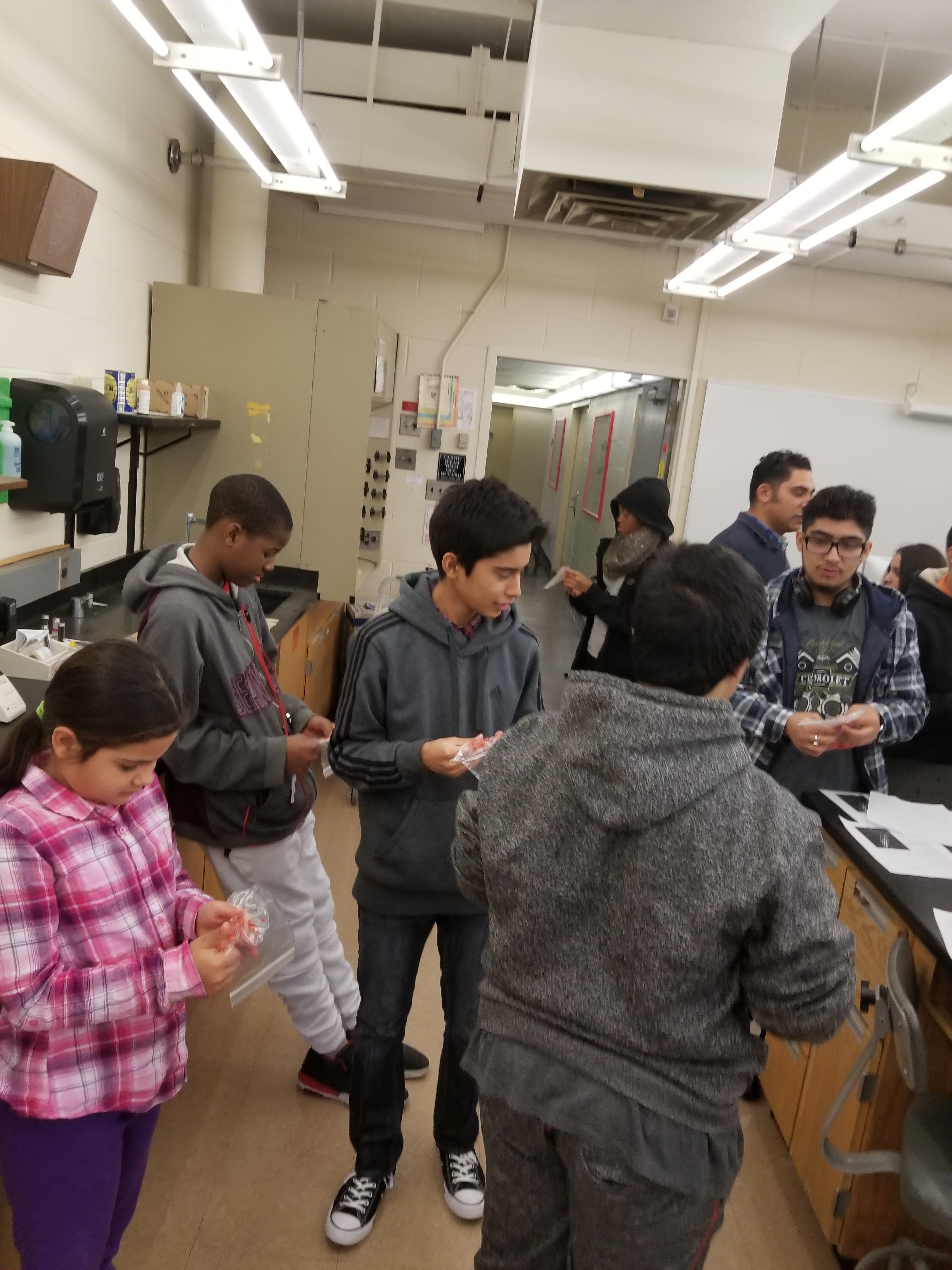 students in lab for Living Environment Workshop: Strawberry DNA Extraction