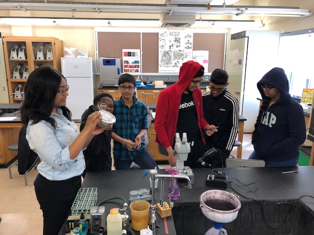 students working together in lab
