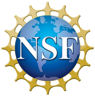 NSF Logo Image