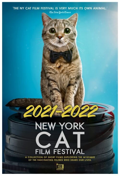 Cat Film Festival 2021-2022