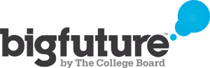 Big Future Logo Image