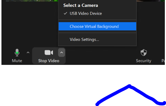 Here is a screenshot of the choices that show up on the dropdown menu next to the video camera icon.